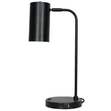 Noah Metal Task Lamp with USB